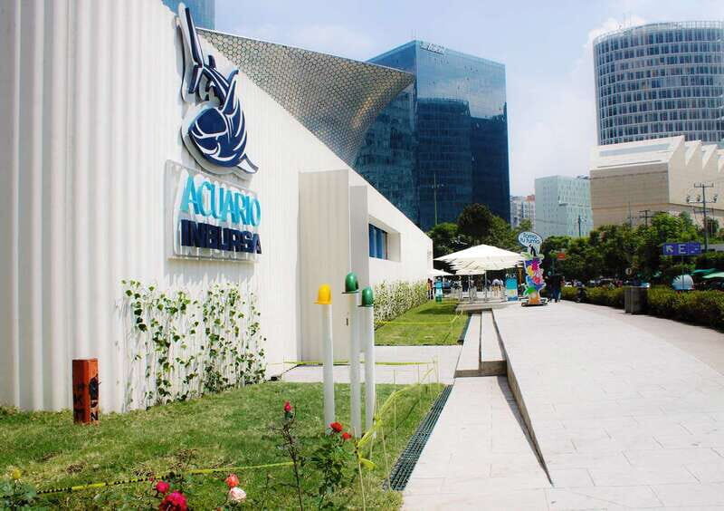 Mexico City: Inbursa Aquarium optional Round trip transfer - What You Can Expect From the Tour