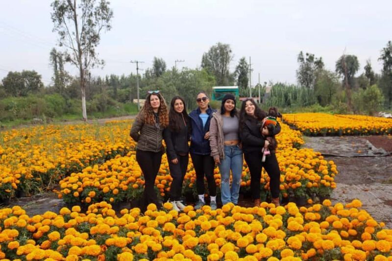 Mexico City: Kayak Experiences in Hidden Xochimilco - Authentic Reviews and Real Experiences