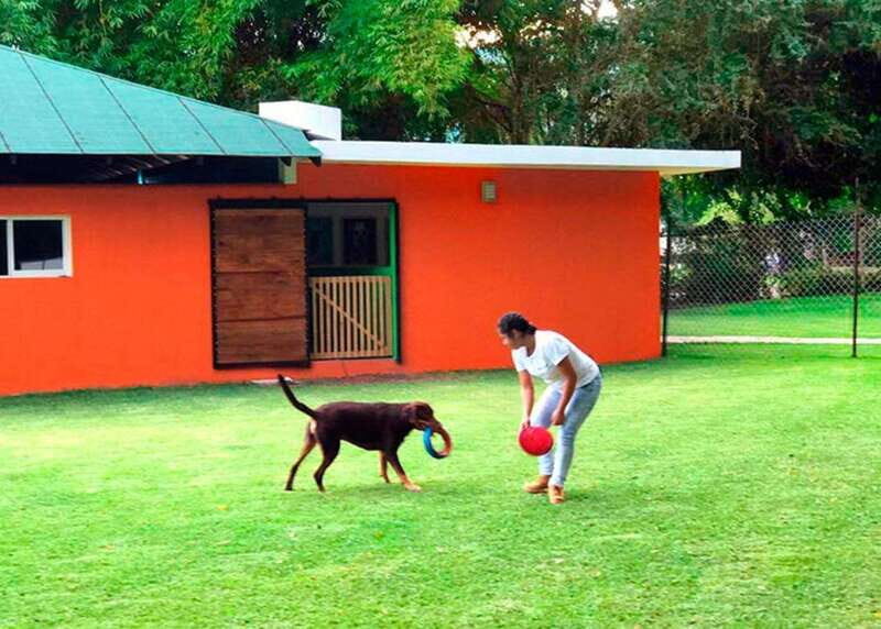 Mexico City: Las Estacas Natural Park Private Tour - Who Should Consider This Tour?