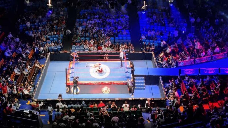 Mexico City: Lucha Libre, Mezcal, Tequila, and Live Show Tour - Who Will Love This Tour?