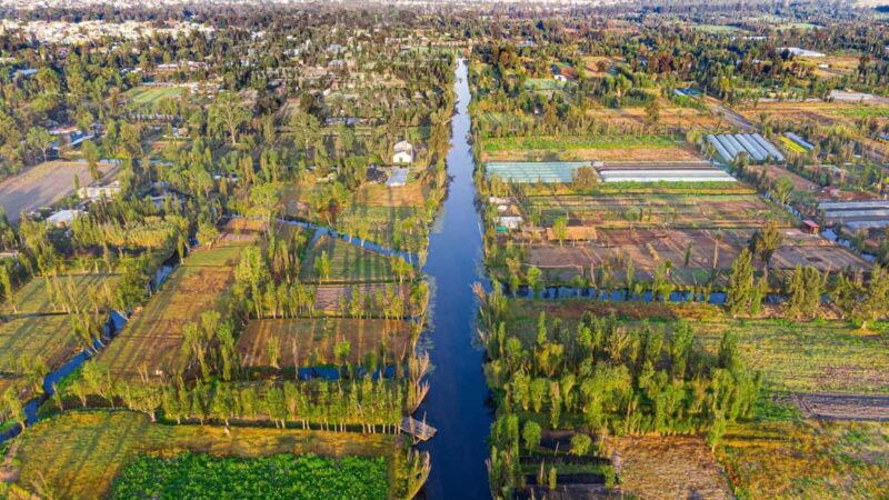 Mexico City: Master Intro - The Sum Up