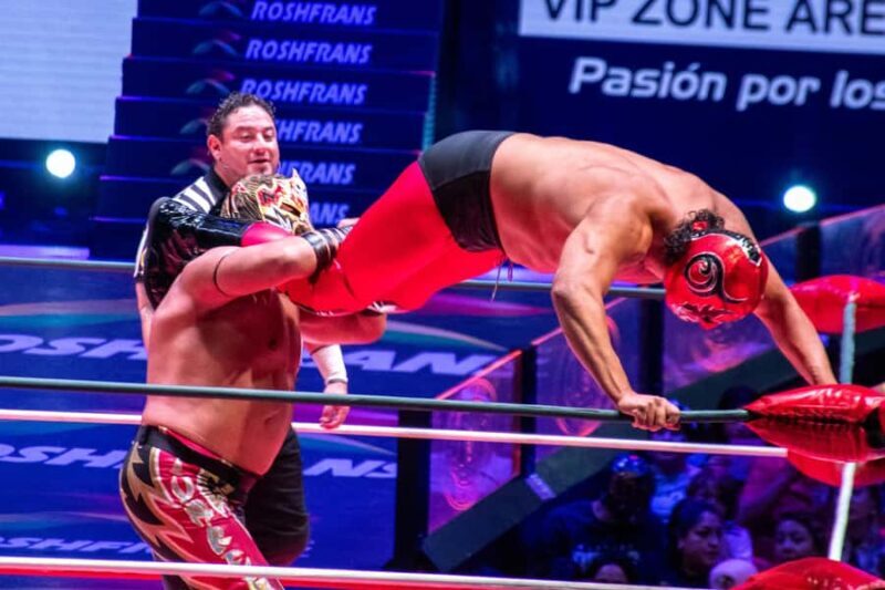 Mexico City: Mexican Lucha Libre Experience & Mezcal Tasting - What to Expect from the Tour