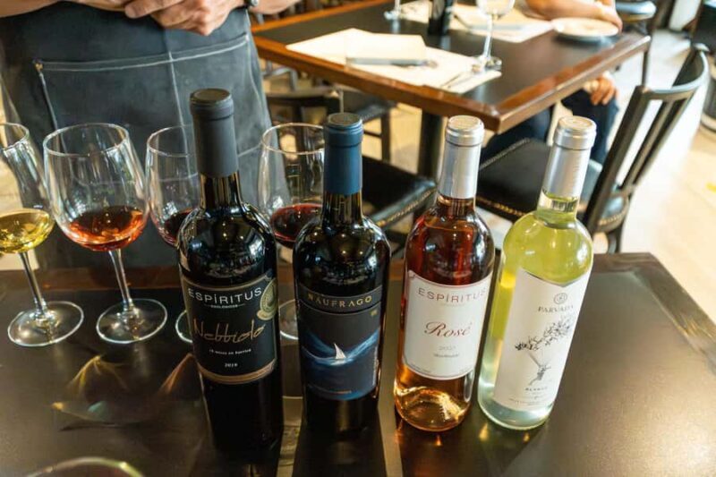 Mexico City: Mexican Wine Tasting with Food Pairing - What to Expect from the Mexican Wine Tasting Experience