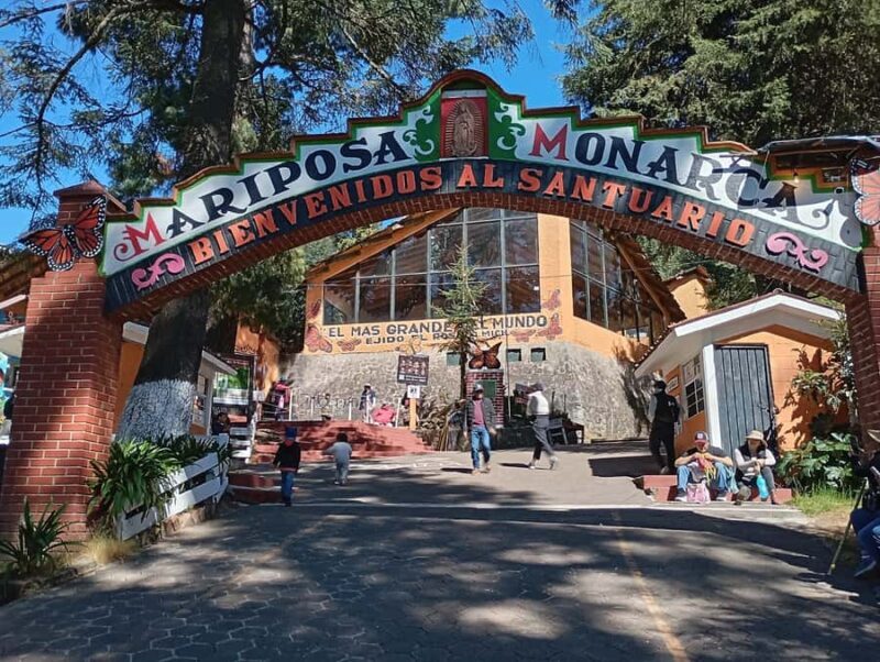 Mexico City: Monarch Butterfly Sanctuary Visit with Transfer - Key Points
