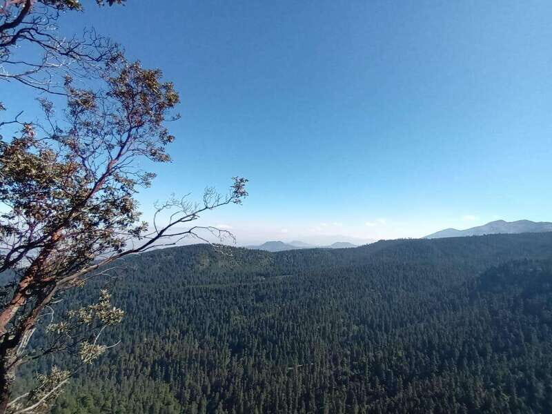Mexico City: Morning Hiking at Mirador Coconetla - An Authentic Nature Escape Close to Mexico City