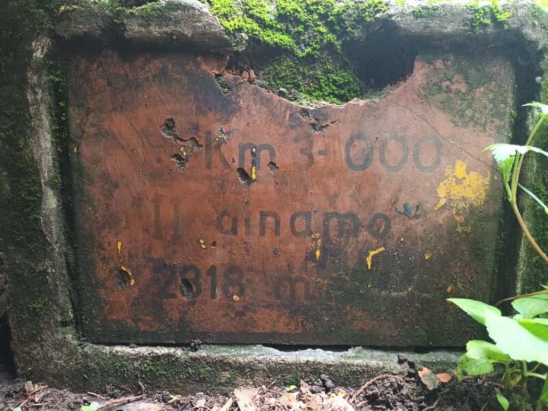 Mexico City: Morning Hiking at Mirador Coconetla - Lunch and the Riverside Experience