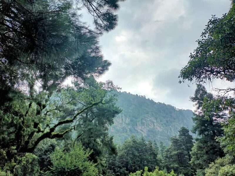 Mexico City: Morning Hiking at Mirador Coconetla - What to Bring and Who Should Consider This Tour