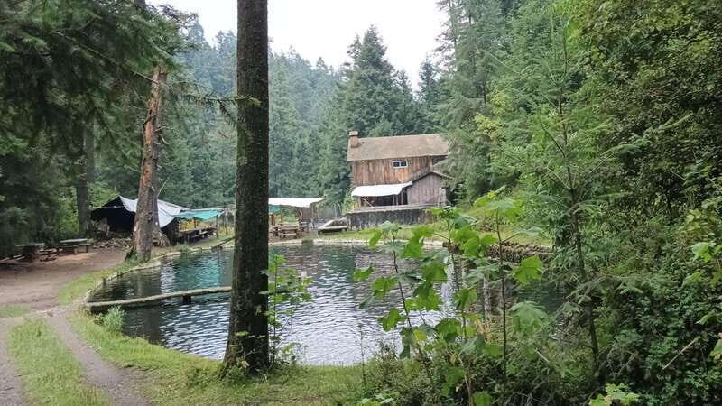 Mexico City: Morning Hiking at Mirador Coconetla - In-depth Breakdown of the Experience