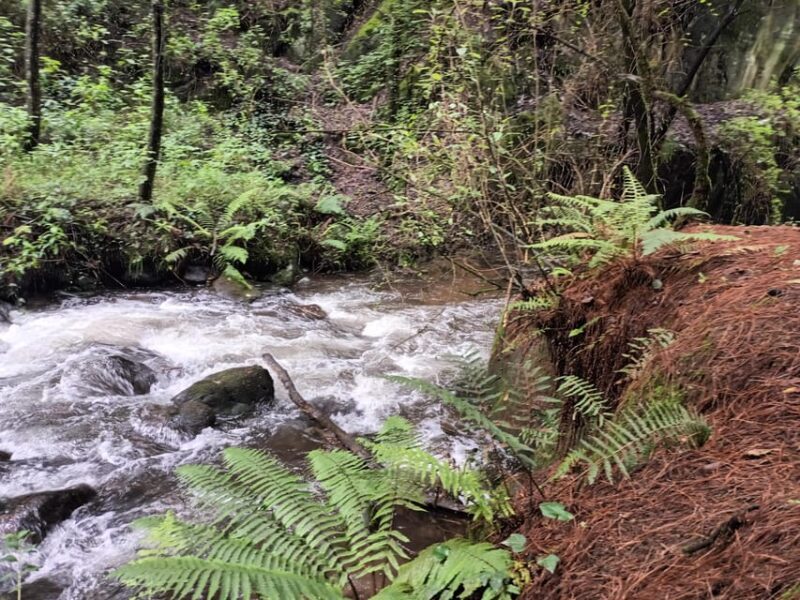 Mexico City: Morning Hiking at Mirador Coconetla - Final Thoughts: Why Choose This Experience?