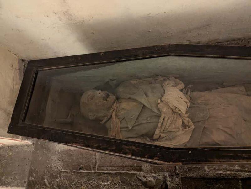 Mexico City: Museum of El Carmen Tour with Ticket - Comprehensive Review of the Museum of El Carmen Tour