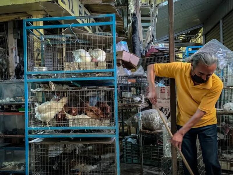 Mexico City: Mystic Markets La Merced & Sonora Culinary Tour - Authentic Food, Cultural Stories, and Local Life