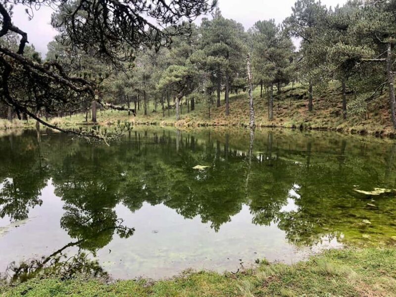 Mexico City: Nahualac Lagoon Private Hiking Tour - An In-Depth Look at the Nahualac Lagoon Private Hiking Tour