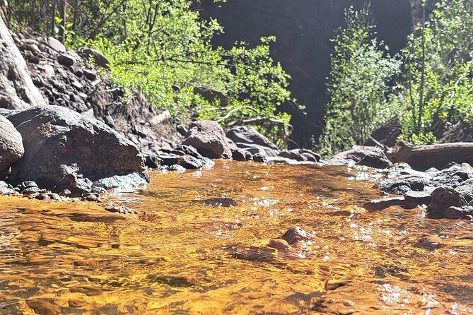 Mexico City: Nexpayantla Canyon Private Volcano Hiking Tour - An In-Depth Look at the Nexpayantla Canyon Tour