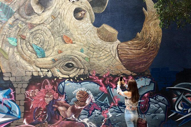 Mexico City Private Street Art Tour - The Artistic Highlights: Murals and Artists