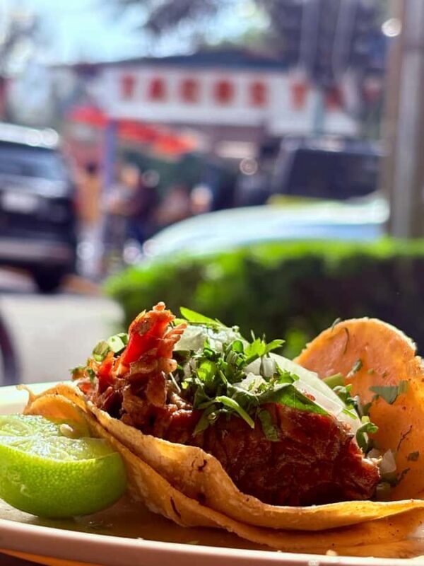 Mexico City: Taco Tour with Michelin Guide Spot & Tastings - Frequently Asked Questions
