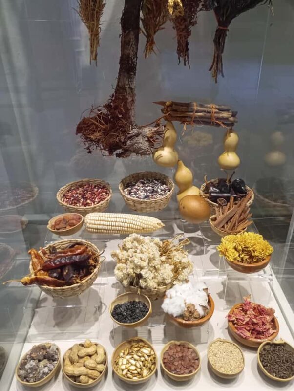 Mexico City: Taxco, Cuernavaca, and Crypto Jewish Tour - Who Will Love This Tour?