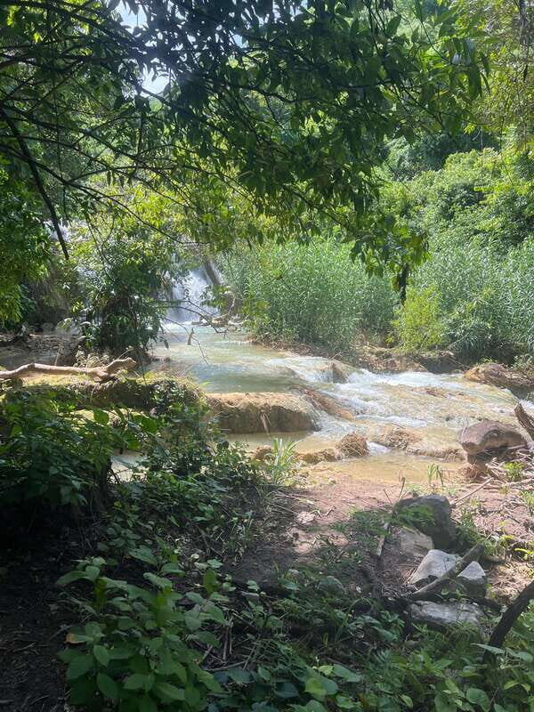 Mexico City: Taxco Thousand Waterfalls - Natural Water Park - Water Activities: Jumping, Swimming, and Cave Exploring