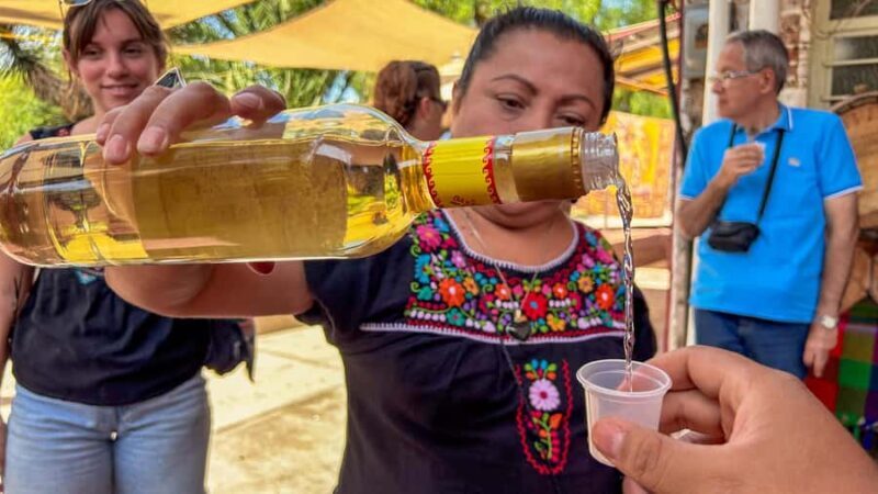 Mexico City: Teotihuacan & Guadalupe Shrine Tour with Lunch - Authentic Mexican Lunch and Fiesta