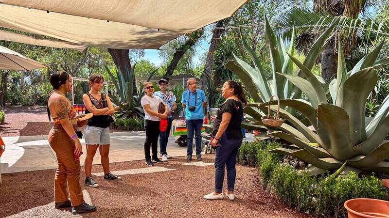 Mexico City: Teotihuacan, Tlatelolco & Basilica of Guadalupe - Key Points