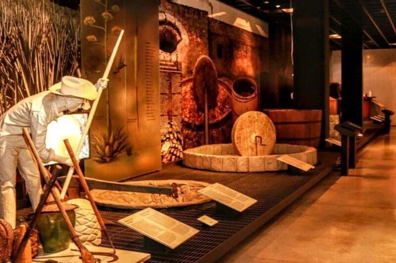 Mexico City: Tequila and Mezcal Museum Ticket with Tastings - Key Points