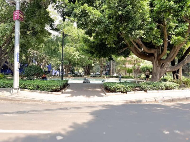 Mexico City: Tuk Tuk Tour from Condesa to Hipódromo - The Sum Up