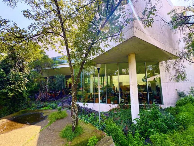 Mexico City: UNAM Campus walking Tour with Guide - Why the UNAM Campus Tour Is Worth Considering