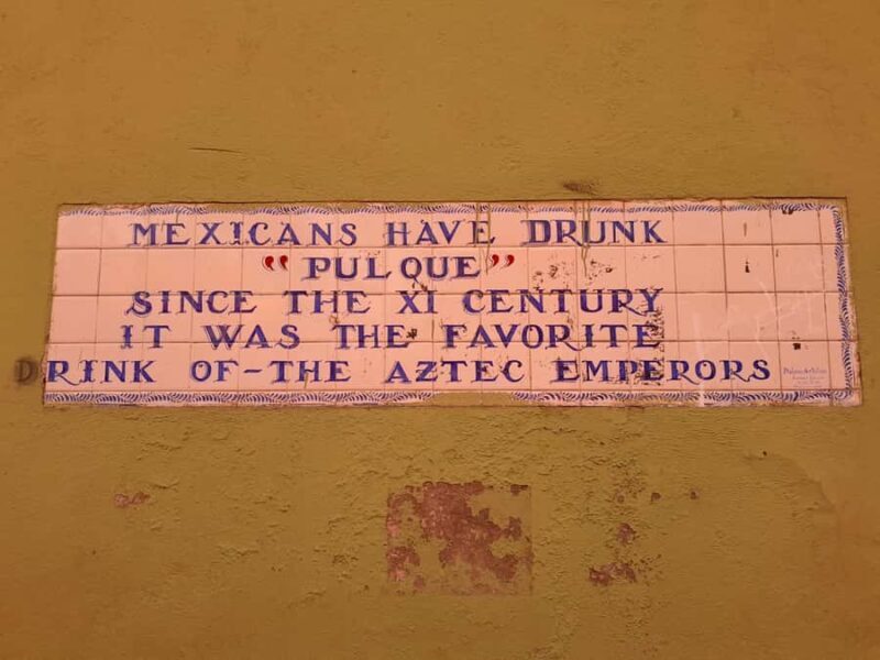 Mexico City: Vegan/Veggie Lucha Libre, Cantinas and Mariachi - Who Should Consider This Tour?