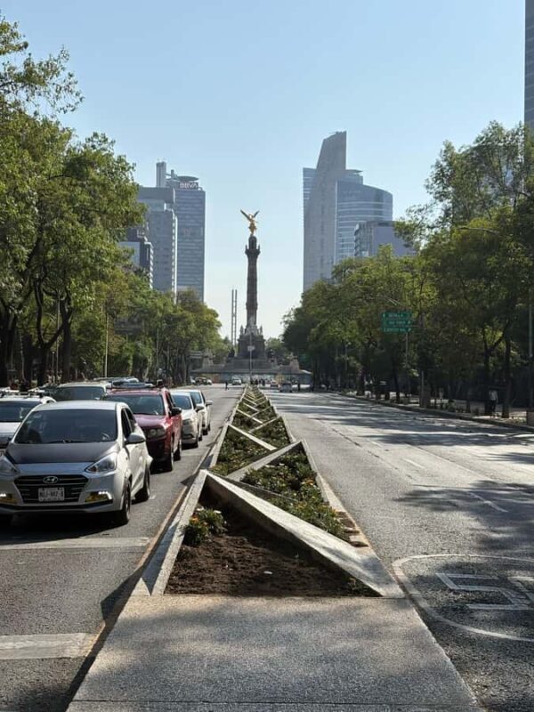 Mexico City: Walking Tour of the Historic Center "El paso de la CDMX" - What Others Say