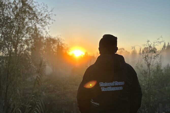 Mexico City: Xochimilco at sunrise + Breakfast and transportation - A Closer Look at the Experience