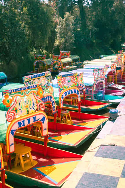 Mexico City: Xochimilco Boat with Guacamole & Premium Drinks - What to Expect on the Tour