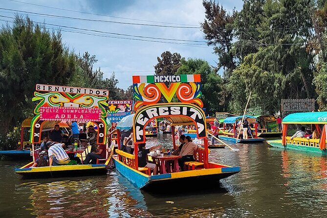 Mexico City: Xochimilco, Coyoacán and University City Tour - The Itinerary in Detail