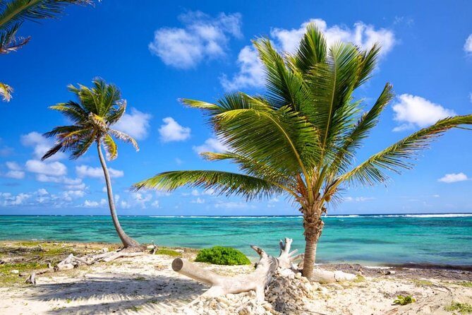 Mexico Private Transfer from Puerto Vallarta to Puerto Vallarta (PVR) Airport - The Experience in Practice: What Travelers Are Saying