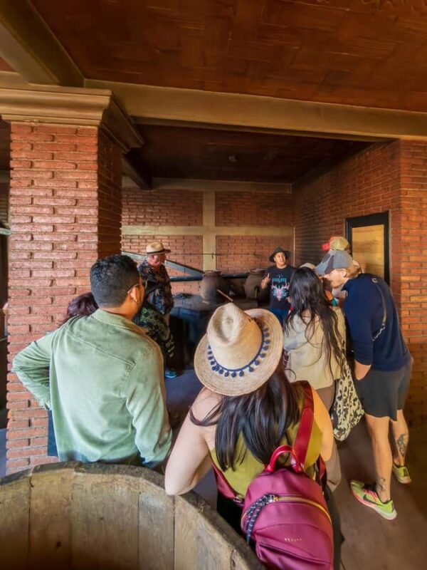Mezcal, Agave, and Pulque Tour in Oaxaca - A Comprehensive Look at the Mezcal, Agave, and Pulque Tour in Oaxaca