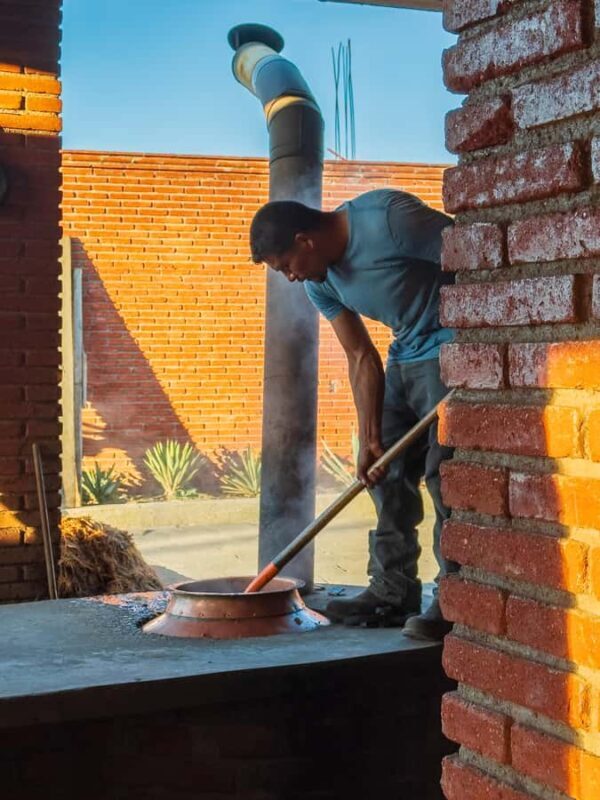 Mezcal, Agave, and Pulque Tour in Oaxaca - Analyzing Value and Practical Details