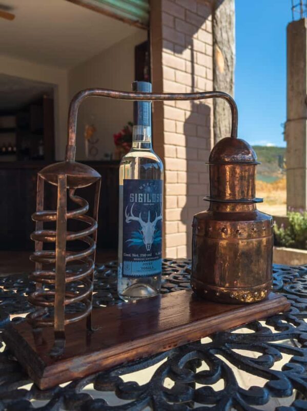 Mezcal, Agave, and Pulque Tour in Oaxaca - Who Will Love This Tour?