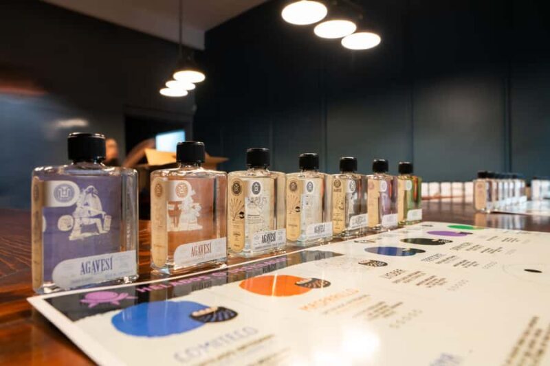 Mezcal & Agave Spirits Ice Cream Pairing Mexico City - Key Points