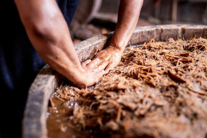 Mezcal Artisan Tasting with Tapas in Tulum - Final Thoughts: Is This Experience Right for You?