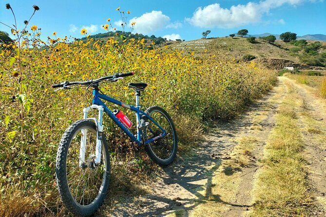 Mezcal Culture Cycling Tour in a Zapotec Village - The Sum Up: Who Is This Tour Best For?