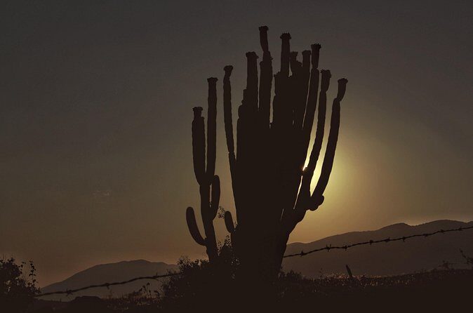 Mezcal Culture Cycling Tour in a Zapotec Village - FAQ