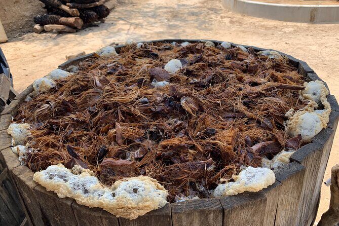 Mezcal Day Experience - Who Should Consider This Tour?