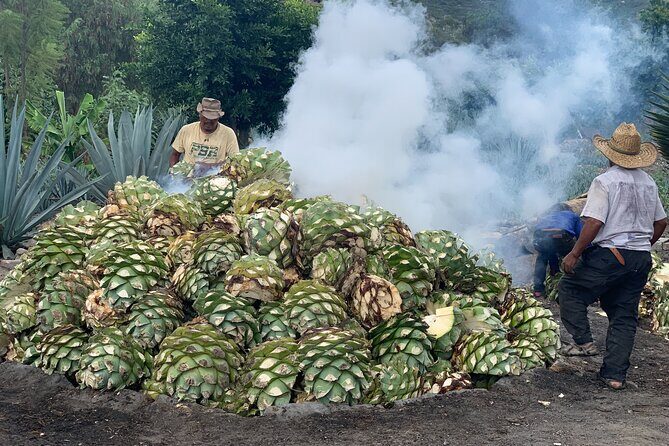 Mezcal Day Experience - Final Thoughts