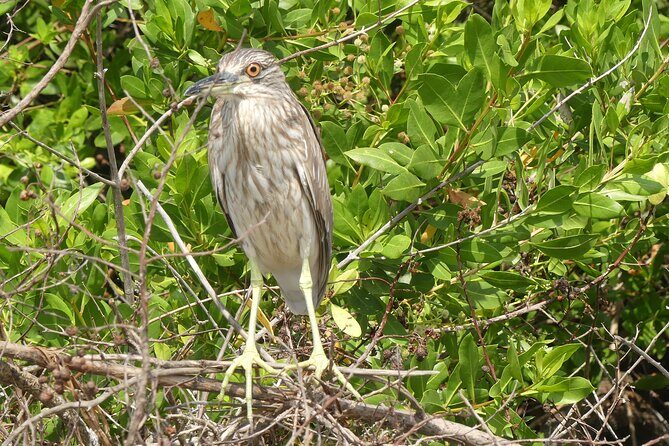 Mezcal Factory Tasting Learning Experience Drink Lunch and More - Analyzing the Value: Price, Duration, and Experience
