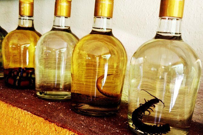 Mezcal Factory Tasting Learning Experience Drink Lunch and More - Final Thoughts