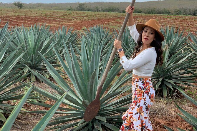 Mezcal Food Tasting Tour with Lunch Included - Key Points