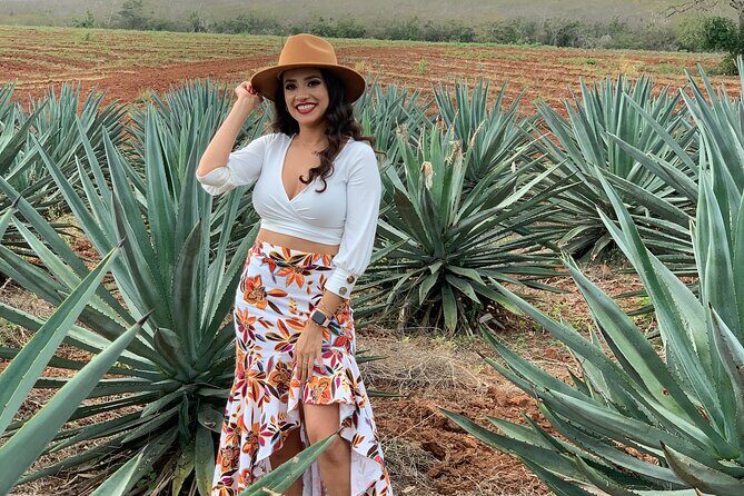 Mezcal Food Tasting Tour with Lunch Included - An Immersive Introduction to Mazatlán’s Mezcal Scene