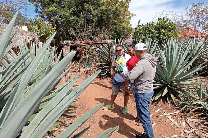 Mezcal Food Tasting Tour with Lunch Included - Shopping and Free Time