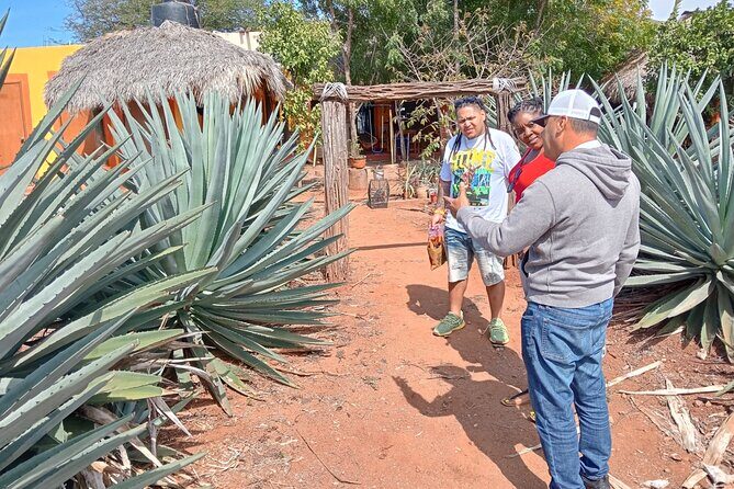 Mezcal Food Tasting Tour with Lunch Included - Practical Details and Considerations