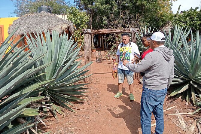Mezcal Food Tasting Tour with Lunch Included - Final Thoughts: Who Will Love This Tour?