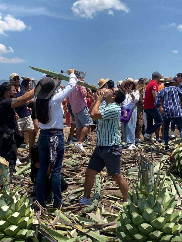 Mezcal Tour Oaxaca - Key Points