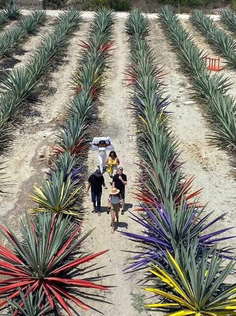 Mezcal Tour Oaxaca - The Master Class: Mezcal Craftsmanship